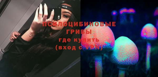 тгк Балахна